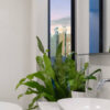 plants-shop-product-gallery-img-20 plants shop product gallery img 20