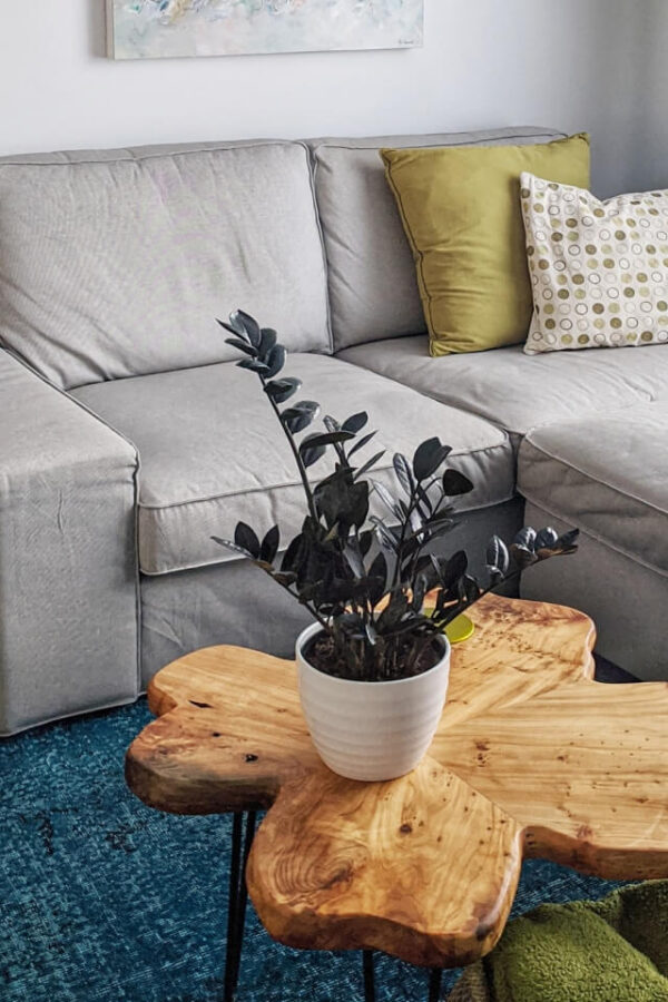 plants shop product gallery img 3